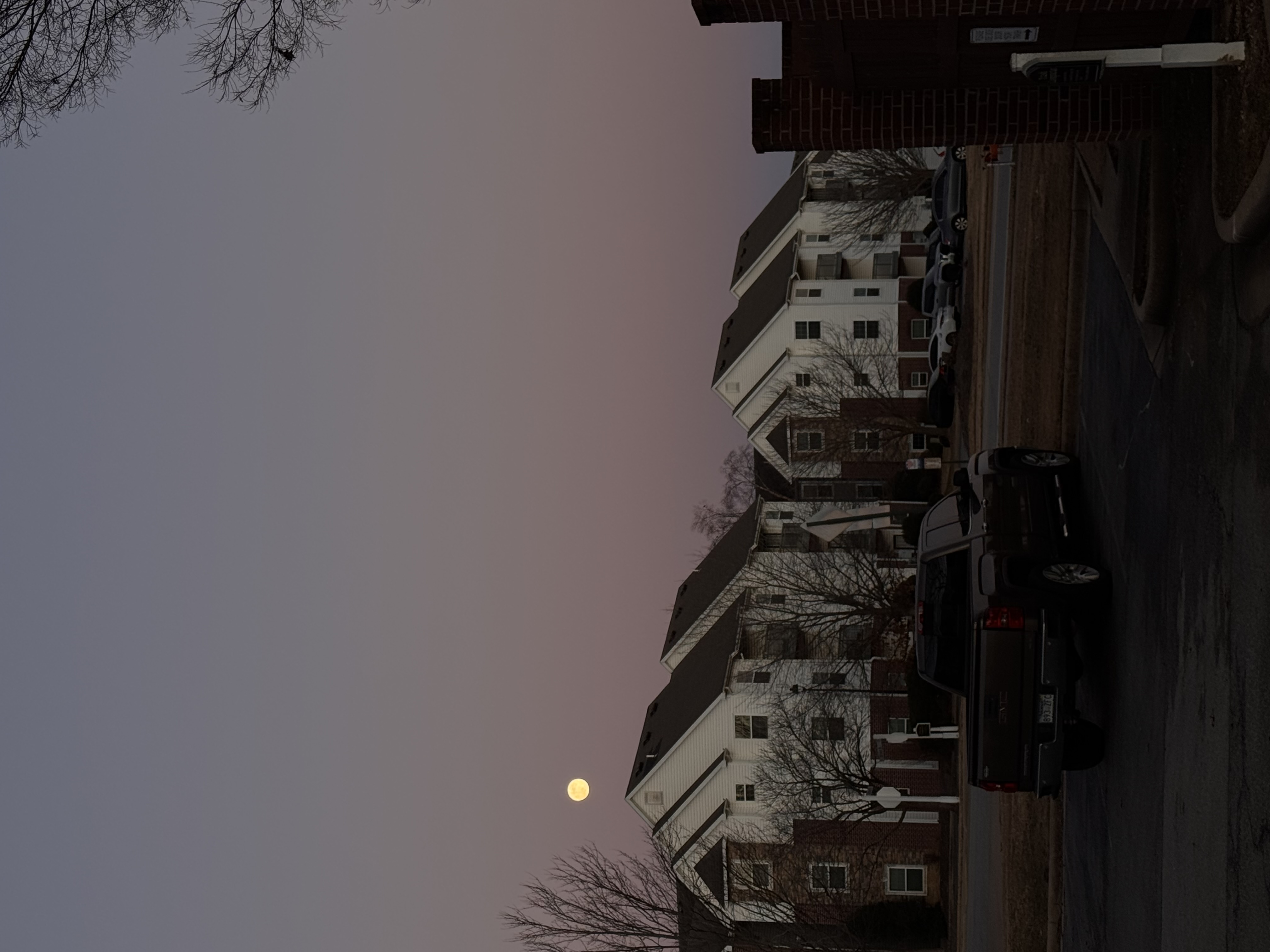 IMG_0483.jpeg