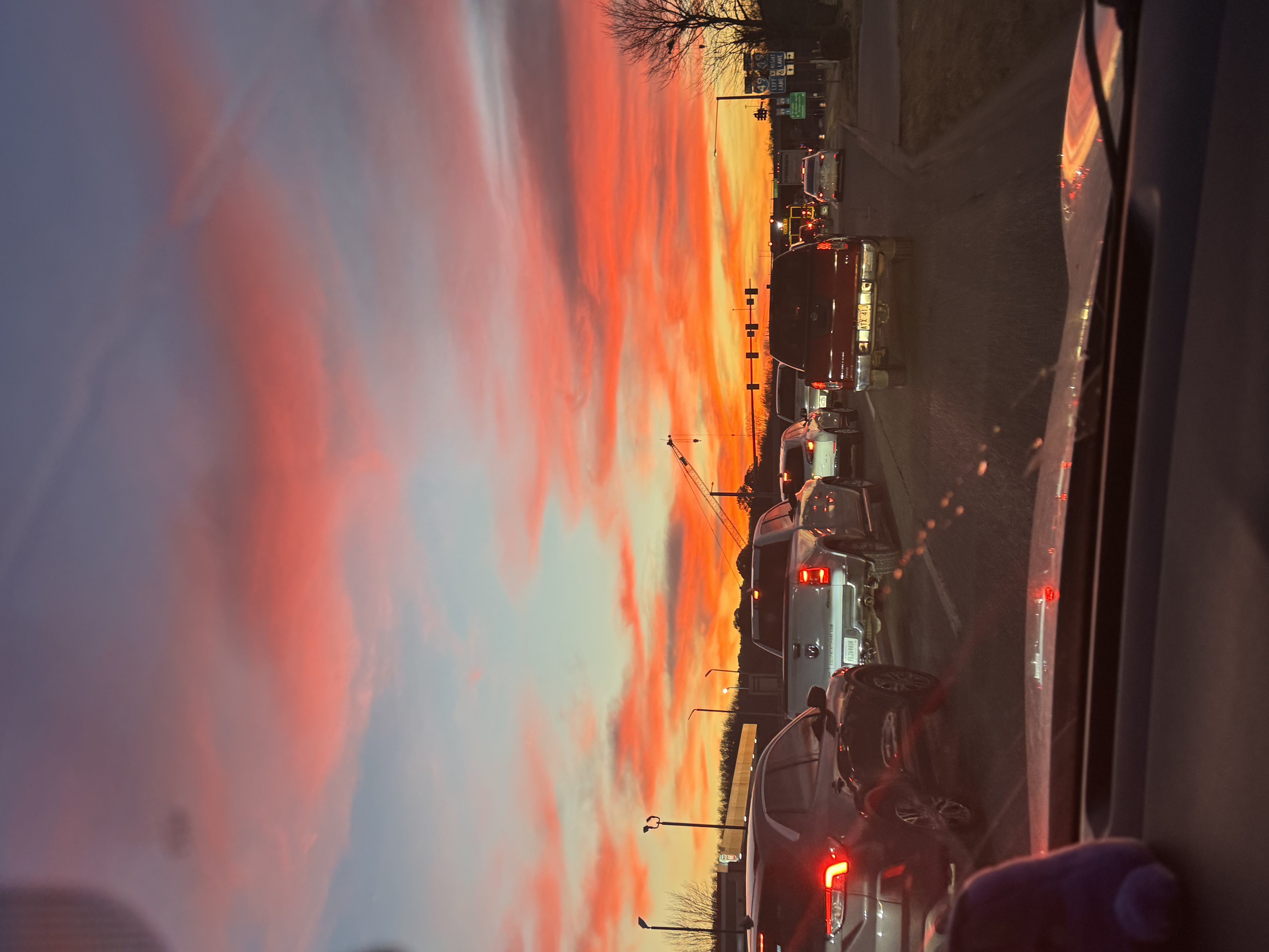 IMG_0504.jpeg